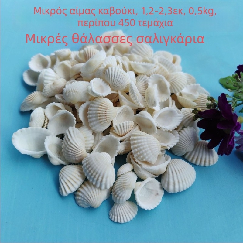 Διάκοσμητικά ενυδρείου από κοχύλια – φυσικά θαλάσσια κοχύλια, ναυτικό στυλ, πλήρως φυσική κατασκευή (Υλικό: Κοχύλι; Στυλ: Ναυτικό; Διαδικασία: Βιονική; Εφαρμογές: αξεσουάρ φωτογραφικών στούντιο, απεικονίσεις ενυδρείου)