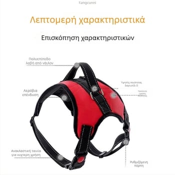 Νάιλον θωρακικός ιμάντας για σκύλους και λουρί από οκτακλώνου σχοινί