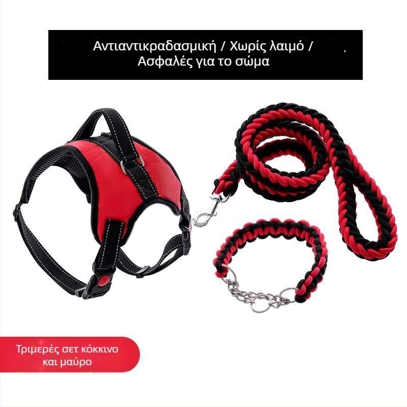 Νάιλον θωρακικός ιμάντας για σκύλους και λουρί από οκτακλώνου σχοινί