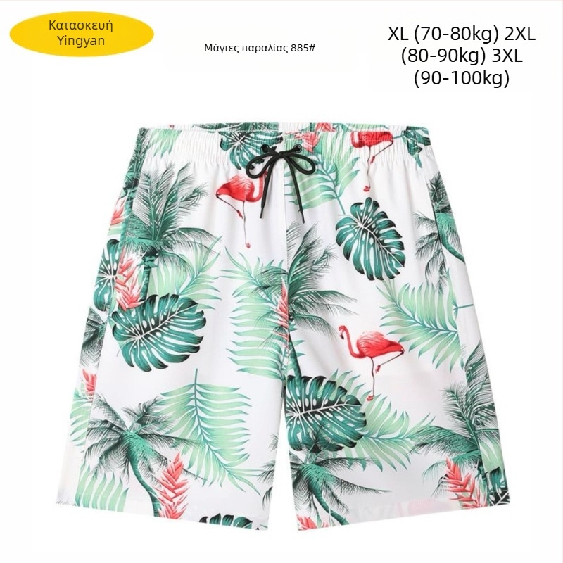 Ανδρικά σορτς παραλίας, χαλαρή γραμμή, εκτύπωση, πολυεστέρας 90–95%, 150 g