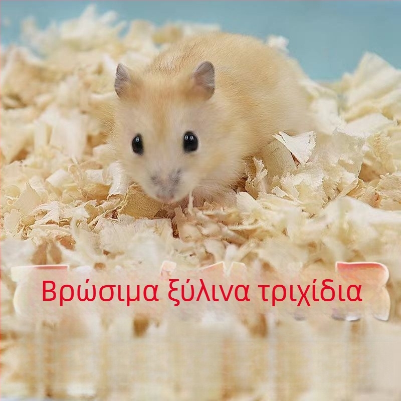 Πακέτο φροντίδας για χάμστερ: Ολοκληρωμένο σετ τροφών και σνακ για αρχάριους | Τροφή κατοικίδιων, Μάρκα: Άλλη, Μη εισαγόμενο