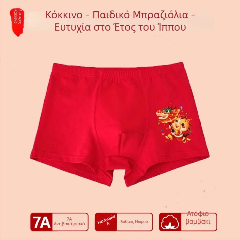 Αγόρια εσώρουχο με μεσαία μέση, 95% βαμβάκι, Ασφαλείας Κατηγορίας A, για μεγάλα παιδιά