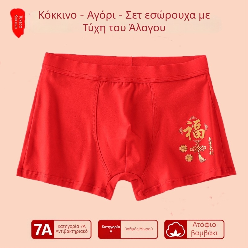 Αγόρια εσώρουχο με μεσαία μέση, 95% βαμβάκι, Ασφαλείας Κατηγορίας A, για μεγάλα παιδιά