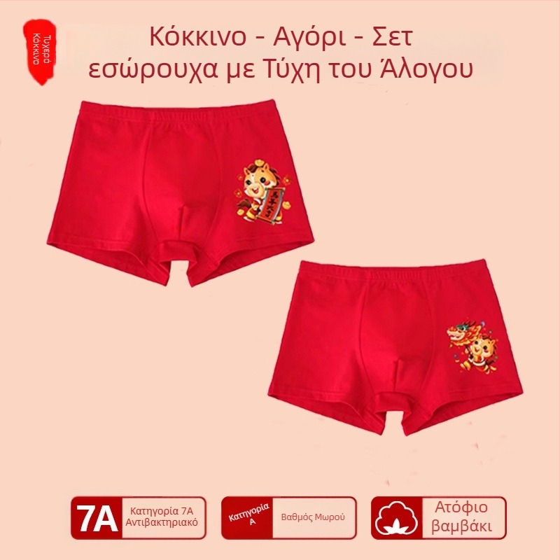 Αγόρια εσώρουχο με μεσαία μέση, 95% βαμβάκι, Ασφαλείας Κατηγορίας A, για μεγάλα παιδιά