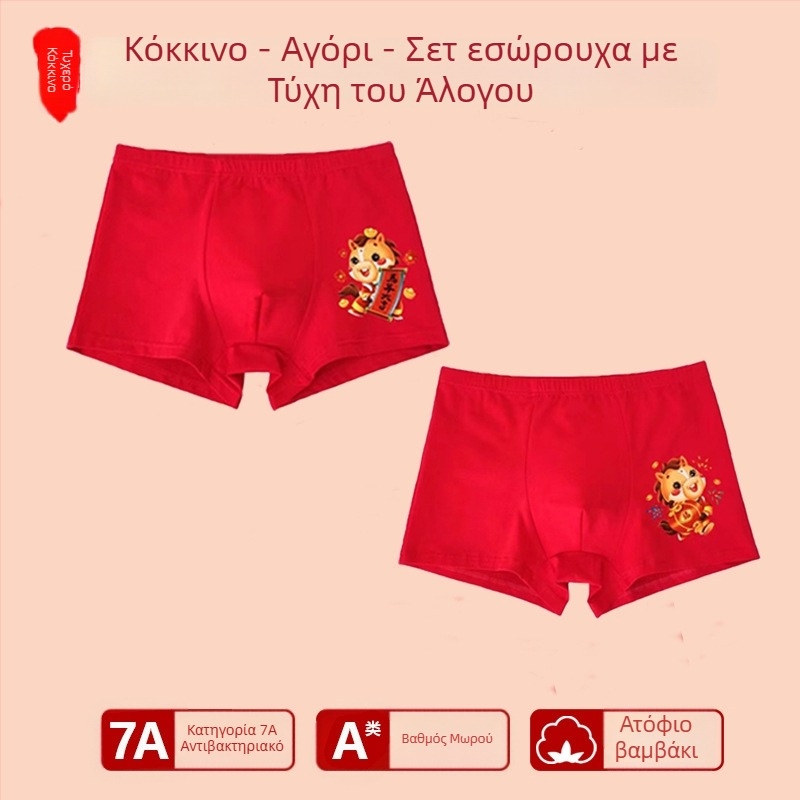 Αγόρια εσώρουχο με μεσαία μέση, 95% βαμβάκι, Ασφαλείας Κατηγορίας A, για μεγάλα παιδιά