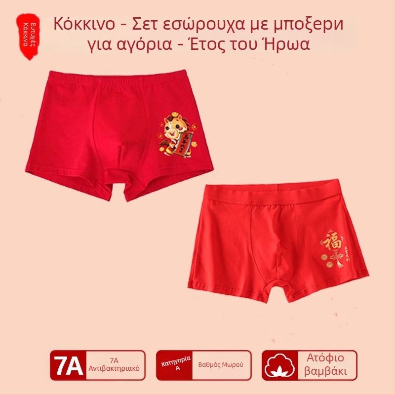 Αγόρια εσώρουχο με μεσαία μέση, 95% βαμβάκι, Ασφαλείας Κατηγορίας A, για μεγάλα παιδιά