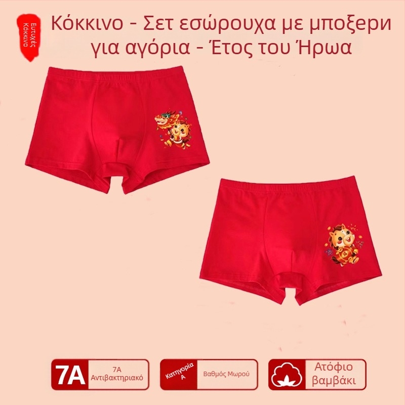 Αγόρια εσώρουχο με μεσαία μέση, 95% βαμβάκι, Ασφαλείας Κατηγορίας A, για μεγάλα παιδιά