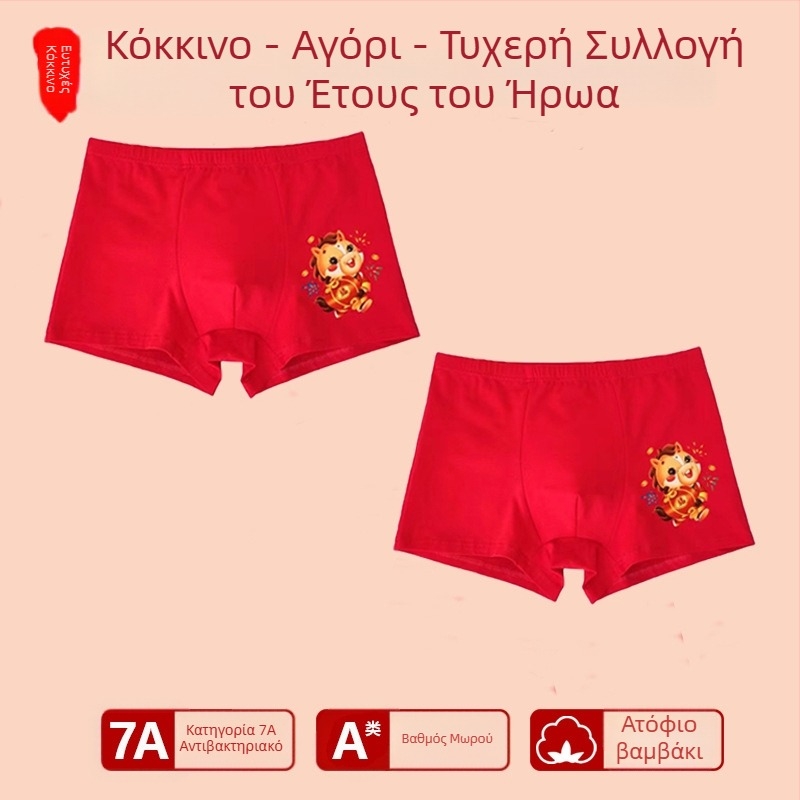 Αγόρια εσώρουχο με μεσαία μέση, 95% βαμβάκι, Ασφαλείας Κατηγορίας A, για μεγάλα παιδιά