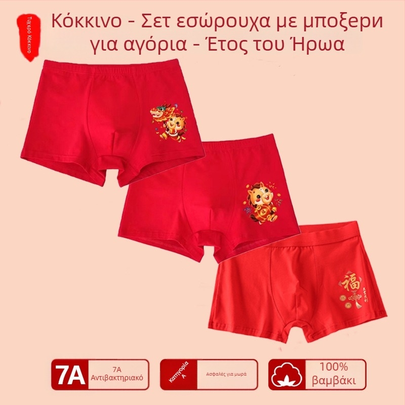 Αγόρια εσώρουχο με μεσαία μέση, 95% βαμβάκι, Ασφαλείας Κατηγορίας A, για μεγάλα παιδιά