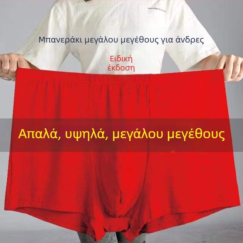 Ανδρικά εσώρουχα: μακριά παντελόνια με ίσια γραμμή, ύφασμα αρνί φλίς, μεσαία ελαστικότητα, Άνοιξη 2024