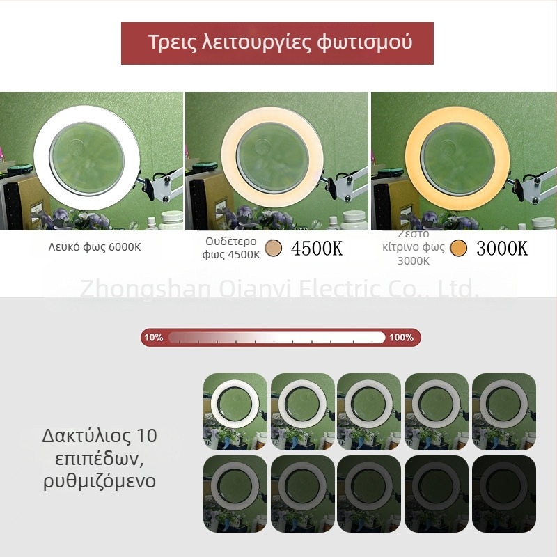 Λαμπά LED γραφείου με μακρύ βραχίονα και πτυσσόμενο μεγεθυντικό φακό – φως ανάγνωσης φιλικό στα μάτια, USB τροφοδοσία 12W, μεταλλική σκιά, CE πιστοποιητικό