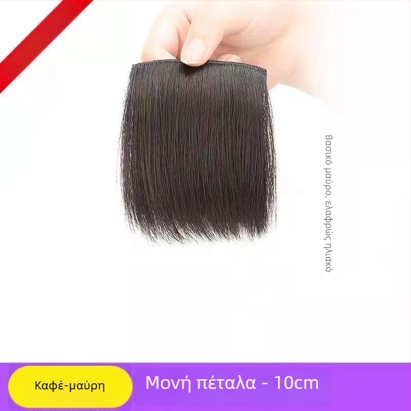 Ex06 Προσθέτες όγκου μαλλιών — Δύο χωρίς ραφή πλάκες για τον στέμμα και τις πλευρές, ίσια τρίχα, υψηλής θερμοκρασίας σύρμα, σχεδιασμός μηχανισμού, χωρίς βαφή ή περμανάντ