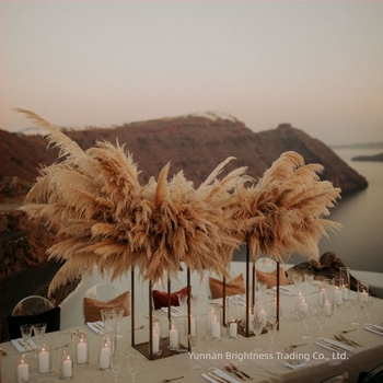 Αποξηραμένα λουλούδια - αξεσουάρ φωτογράφισης σε INS στυλ, μάρκα Brightness, ποικιλία 3332590, υλικό: αποξηραμένα λουλούδια, διαδικασία: Άλλο, χρήση: γάμος/εξωτερικά/αξεσουάρ φωτογράφισης