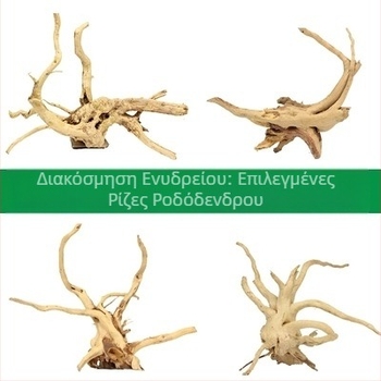 Σετ διακόσμησης ενυδρείου για τοπίο με βυθισμένο ξύλο, ρίζα αζαλέας, βρύα και υδρόβια φυτά