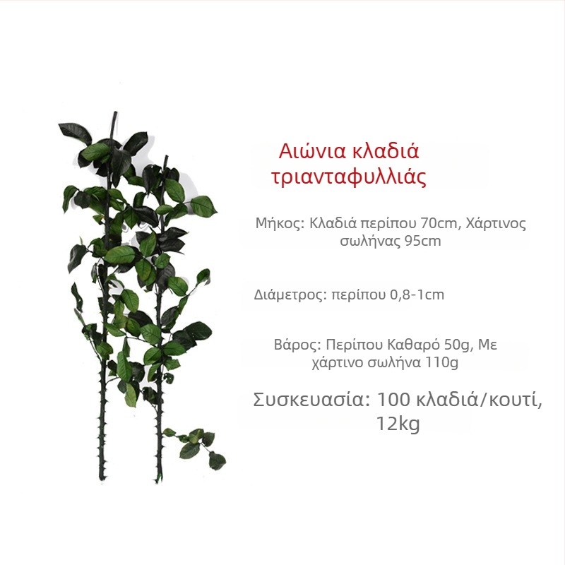 Κλαδιά αιώνιας ρόδας, 60–70 cm, γυάλινος θόλος Μικρός Πρίγκιπας, υλικό DIY διακόσμησης λουλουδιών