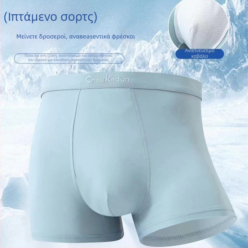 Ανδρικό εσώρουχο από ice silk, αναπνεύσιμο, χωρίς ραφές, μεσαίο ύψος μέσης, μεγάλα μεγέθη, με εκτυπώσεις