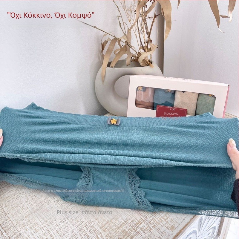 Γυναικείες χωρίς ραφές εσώρουχα με δαντελένια άκρη, μεσαία μέση, plus size, σε κουτί