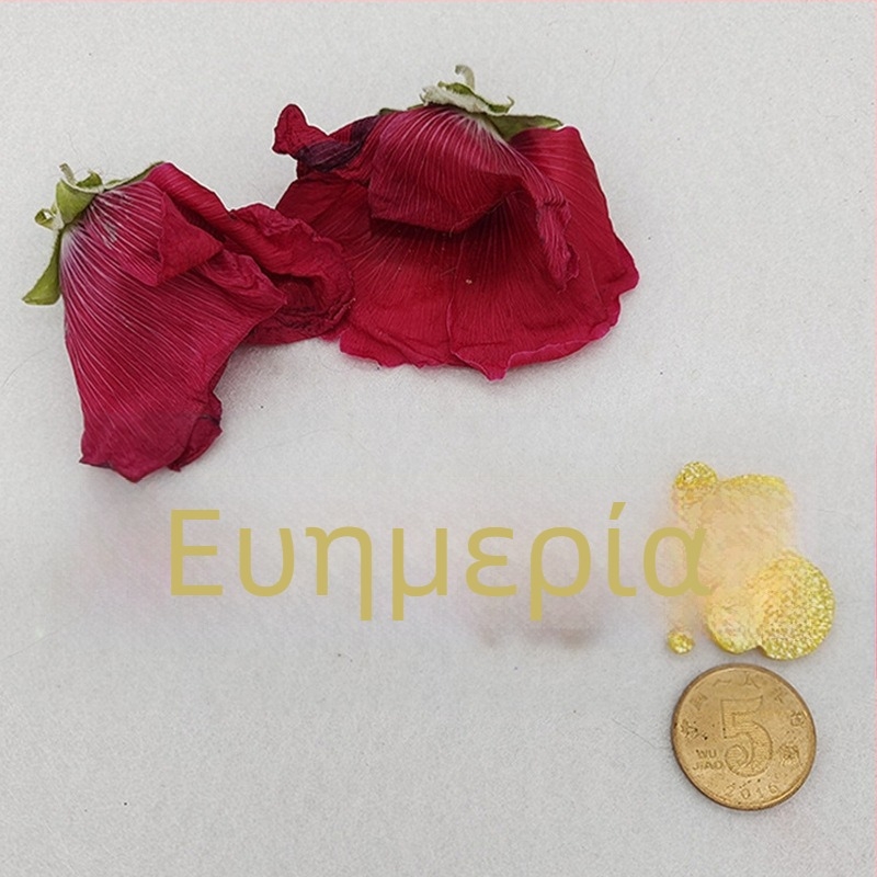 Υλικά DIY για αξεσουάρ μαλλιών με patch συμβόλου τύχης — ρετρό γιορτινό διακοσμητικό με παγιέτες