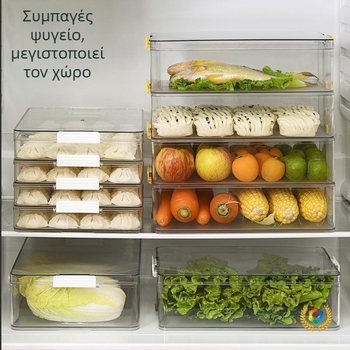 Διάφανο δοχείο αποθήκευσης για ντάμπλινγκ και γουόντον για κατάψυξη και συντήρηση