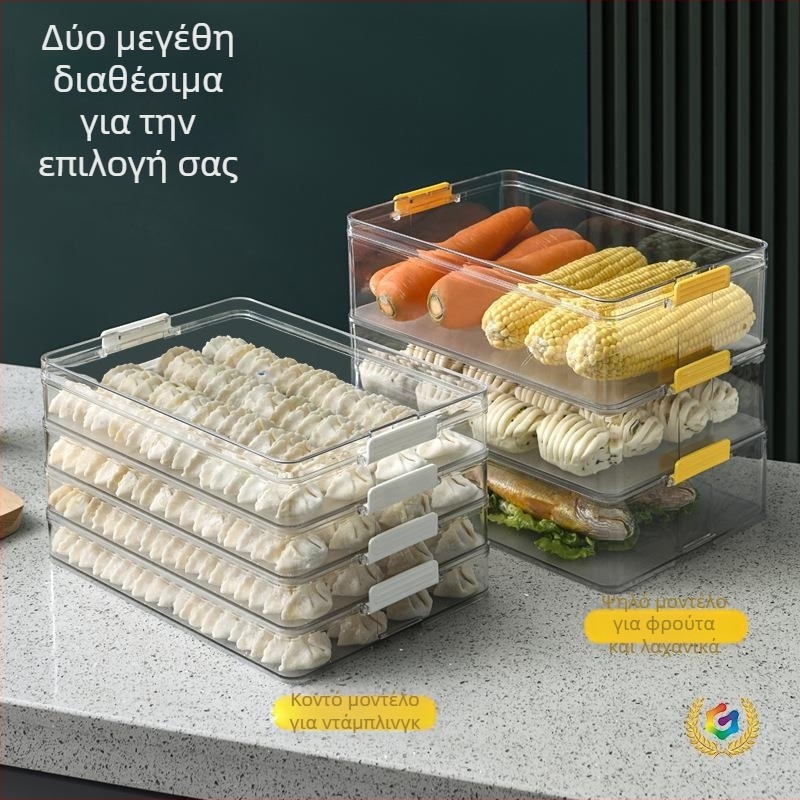 Διάφανο δοχείο αποθήκευσης για ντάμπλινγκ και γουόντον για κατάψυξη και συντήρηση