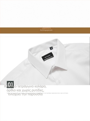 Ανδρικό πουκάμισο με μακριά μανίκια, χωρίς σιδέρωμα, στενή γραμμή, επαγγελματικό, без τσέπες, ελαστικό, Turn-Down γιακά