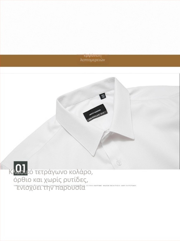 Ανδρικό πουκάμισο με μακριά μανίκια, χωρίς σιδέρωμα, στενή γραμμή, επαγγελματικό, без τσέπες, ελαστικό, Turn-Down γιακά