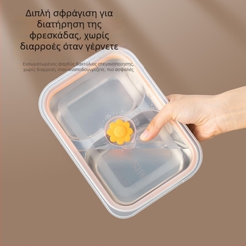 Κοντέινερ φαγητού από ανοξείδωτο ατσάλι με καπάκι, ιδανικό για μεσημεριανό