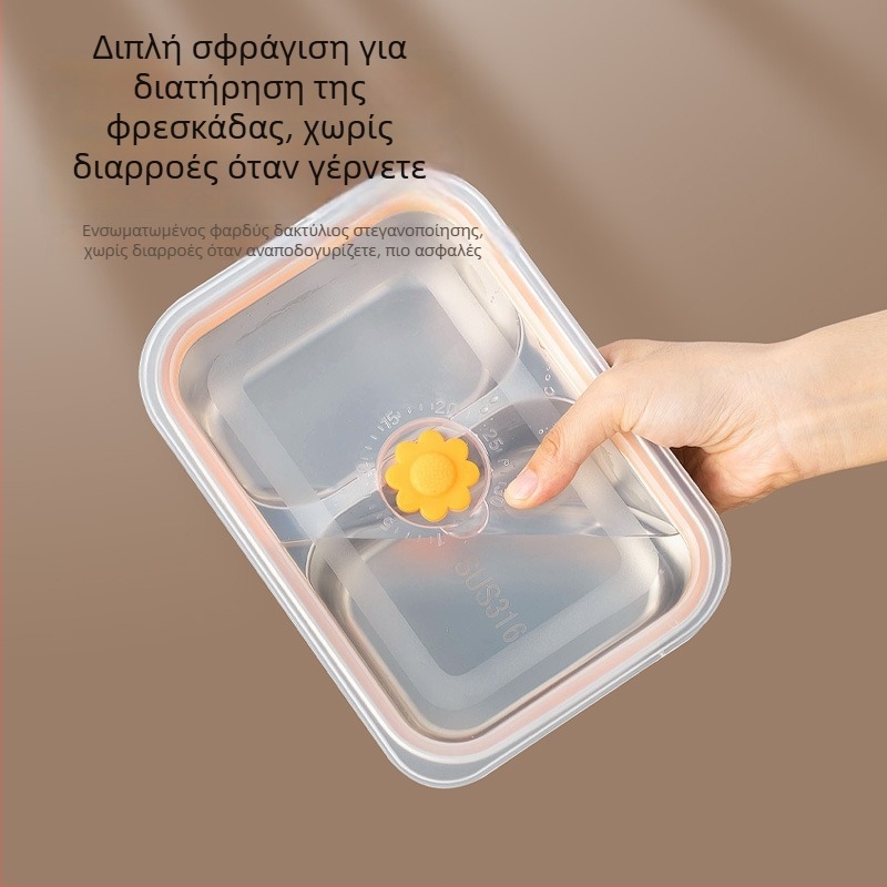 Κοντέινερ φαγητού από ανοξείδωτο ατσάλι με καπάκι, ιδανικό για μεσημεριανό