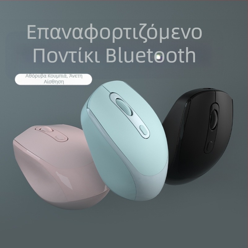 Ασύρματο ποντίκι επαναφορτιζόμενο, σιωπηρό, για φορητό και επιτραπέζιο υπολογιστή, οικιακή και επαγγελματική χρήση, κατάλληλο για όλους.