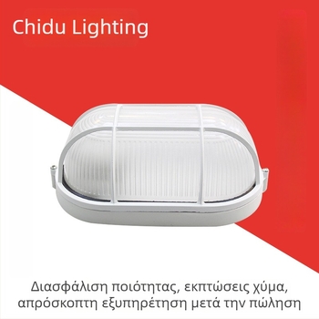 Οβάλ εξωτερικός λαμπτήρας LED, ανθεκτικός στην υγρασία και αδιάβροχος, κατάλληλος για μπάνιο, ψυκτική αποθήκευση και φρεάτιο ανελκυστήρα, λαμπτήρας με τρεις προστασίες, διαθέσιμο σε μεγάλους, μεσαίους και μικρούς