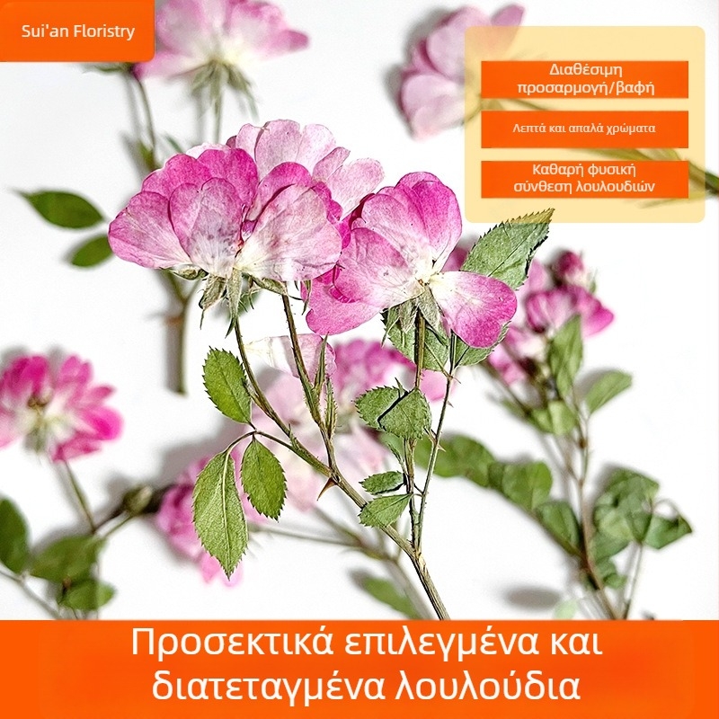 Ροζ και μωβ τριαντάφυλλα με κλαδάκια - πιεσμένα άνθη για DIY ρητινώδη έργα: τραπεζοφωτιστικό, κηροστάτης και κορνίζα φωτογραφίας, υλικά αποξηραμένων λουλουδιών