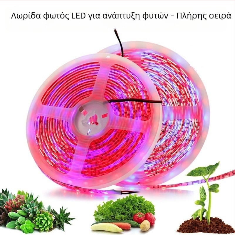 Λωρίδα LED για ανάπτυξη φυτών 12V 5050, μη αδιάβροχη, με τηλεχειριστήριο ρύθμισης φωτισμού, δέσμη 120°, CRI 70, κατάλληλη για λουλούδια και λαχανικά