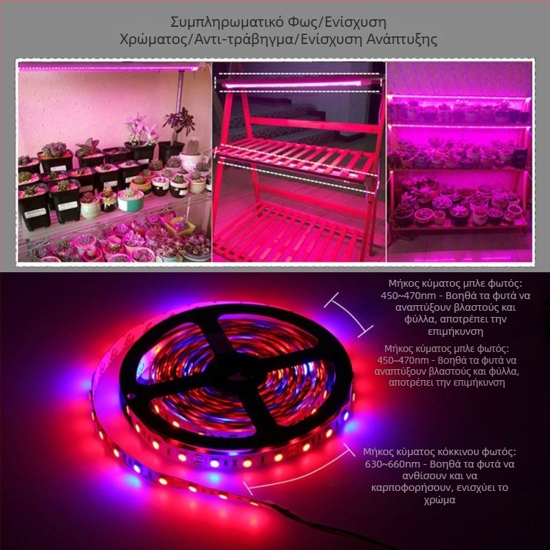 Λωρίδα LED για ανάπτυξη φυτών 12V 5050, μη αδιάβροχη, με τηλεχειριστήριο ρύθμισης φωτισμού, δέσμη 120°, CRI 70, κατάλληλη για λουλούδια και λαχανικά
