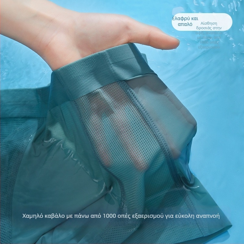 Ανδρικά μποξέρ από ice silk, διαπνέοντα, αντιβακτηριακά, με μέση ζώνη μεσαίου ύψους