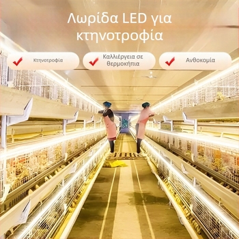 LED ταινία φωτισμού φάρμας, εξωτερική αδιάβροχη 220V, υπέρλαμπρός φωτισμός για κοτέτσια και θερμοκήπια