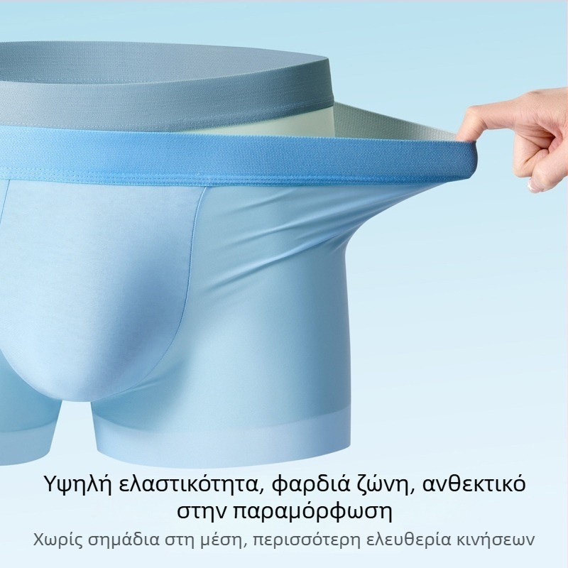 Ανδρικά μποξέρ από Ice Silk, μεγάλο μέγεθος, αναπνέοντα, αντιβακτηριακά, γρήγορο στέγνωμα, μονόχρωμα, με επένδυση καβάλου από βαμβάκι