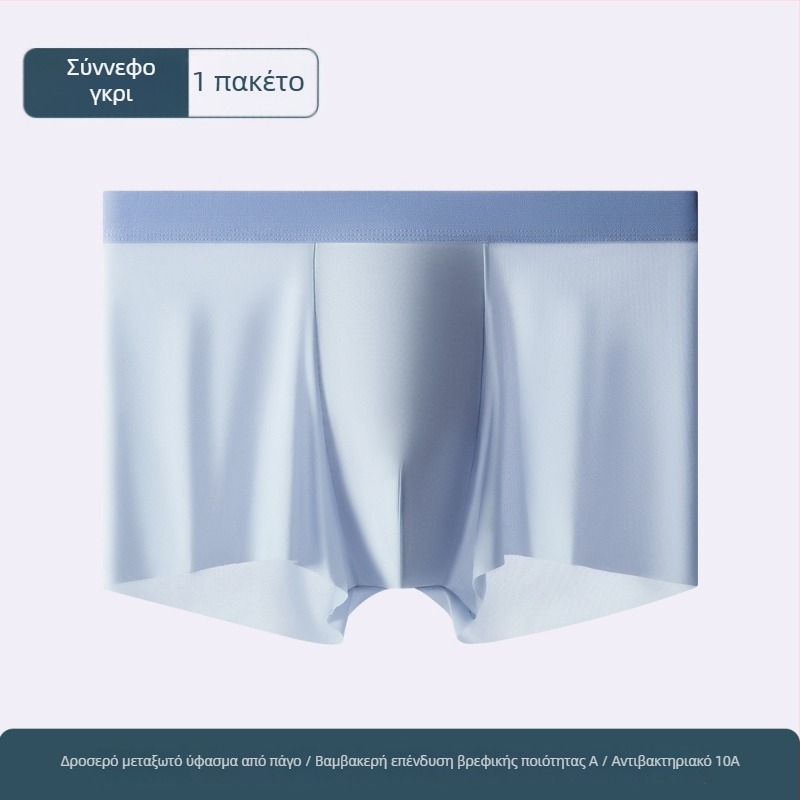 Ανδρικά μποξέρ από Ice Silk, μεγάλο μέγεθος, αναπνέοντα, αντιβακτηριακά, γρήγορο στέγνωμα, μονόχρωμα, με επένδυση καβάλου από βαμβάκι