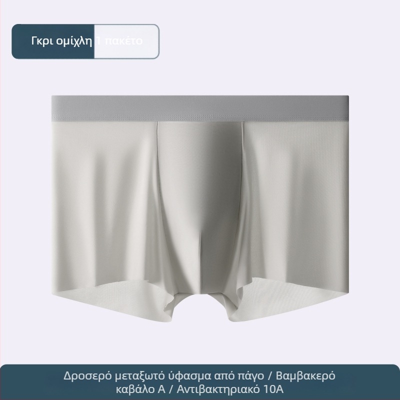 Ανδρικά μποξέρ από Ice Silk, μεγάλο μέγεθος, αναπνέοντα, αντιβακτηριακά, γρήγορο στέγνωμα, μονόχρωμα, με επένδυση καβάλου από βαμβάκι