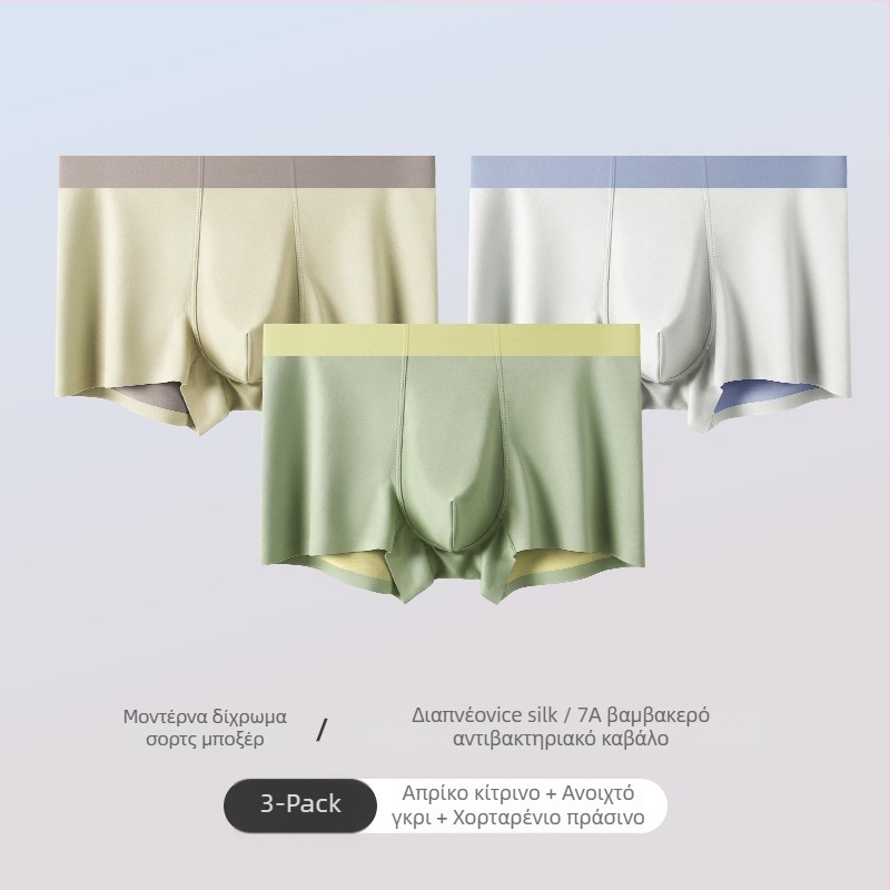 Ανδρικά εσώρουχα χωρίς ραφή από Ice Silk, διαπνέοντα και αντιβακτηριακά