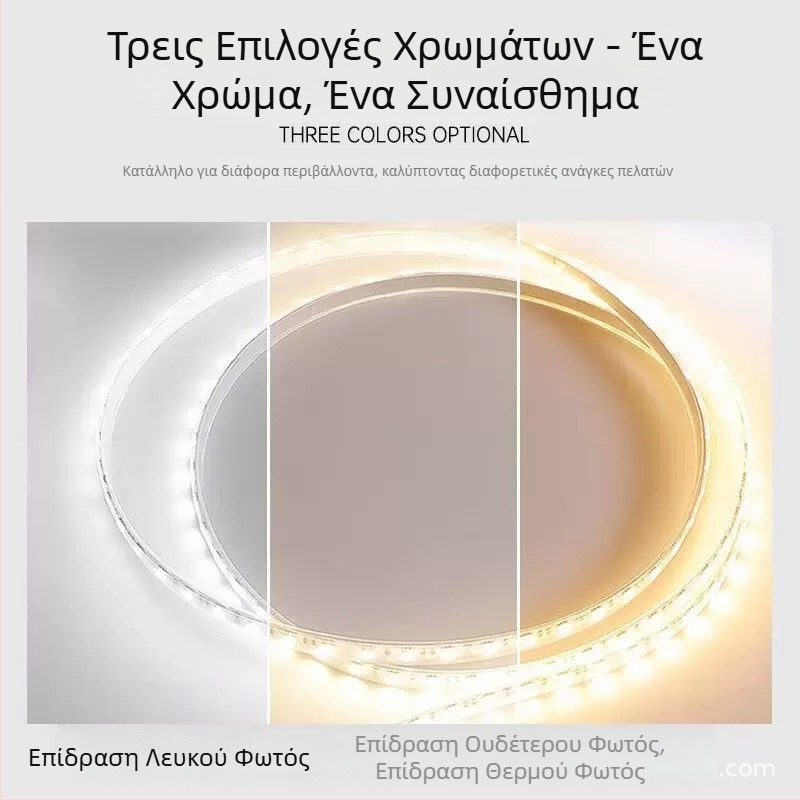 Λωρίδα LED χαμηλής τάσης 24V με 240 LED, διχρωμία θερμοκρασίας και τριχρωματικό φως, συμβατή με έξυπνο σύστημα ρύθμισης φωτεινότητας και χρώματος