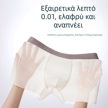 Ανδρικά boxer briefs από ice silk, ultra λεπτά, γρήγορο στέγνωμα, αναπνεύσιμα, χωρίς ραφές, μονόχρωμα, μεγάλο μέγεθος