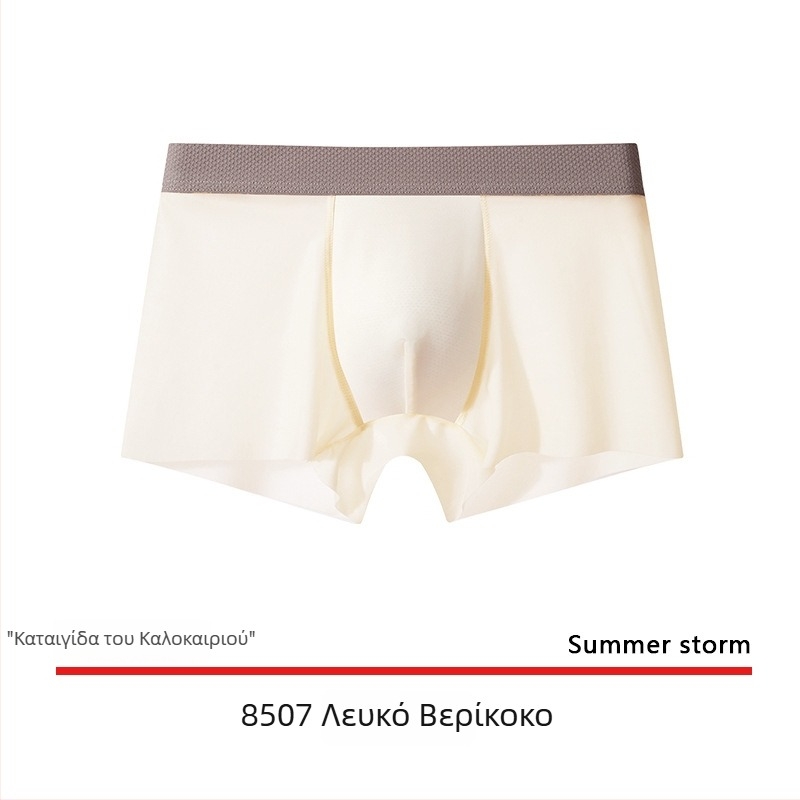 Ανδρικά boxer briefs από ice silk, ultra λεπτά, γρήγορο στέγνωμα, αναπνεύσιμα, χωρίς ραφές, μονόχρωμα, μεγάλο μέγεθος