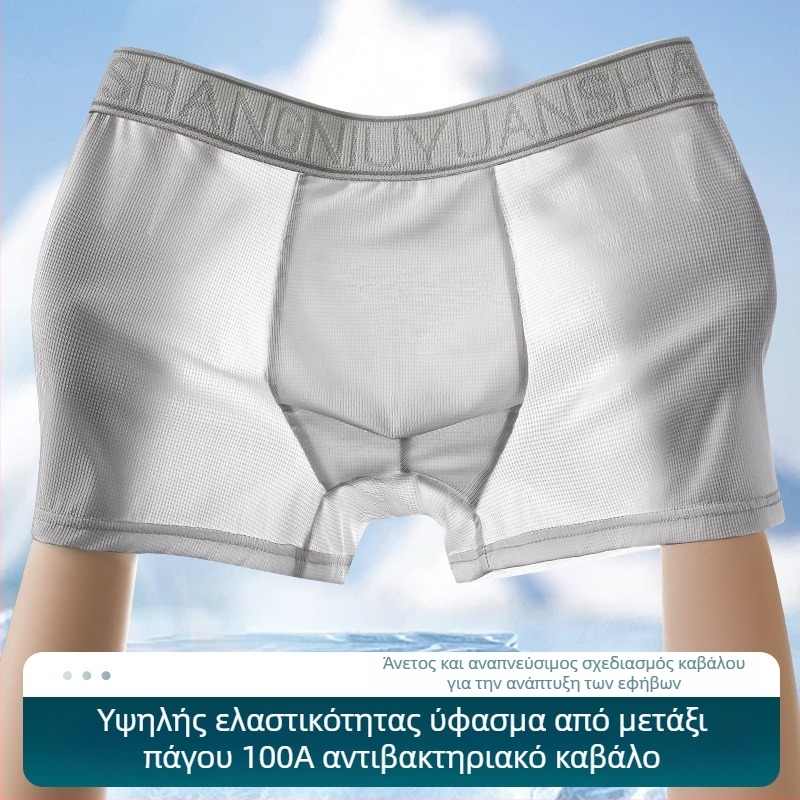 Ανδρικά boxer briefs Ice Silk, αντιβακτηριακά και αναπνέοντα εσώρουχα