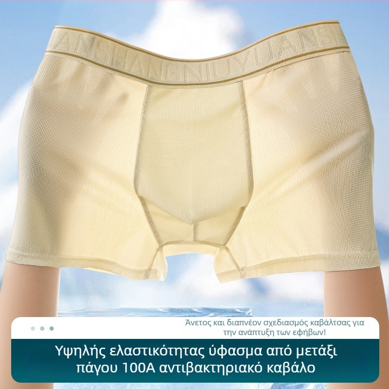 Ανδρικά boxer briefs Ice Silk, αντιβακτηριακά και αναπνέοντα εσώρουχα