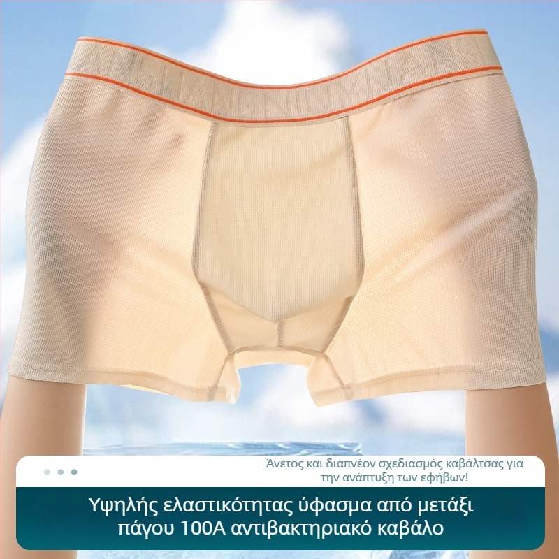 Ανδρικά boxer briefs Ice Silk, αντιβακτηριακά και αναπνέοντα εσώρουχα