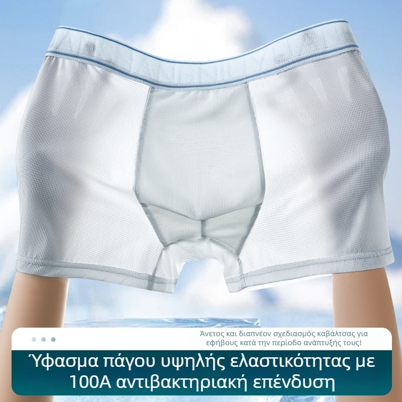 Ανδρικά boxer briefs Ice Silk, αντιβακτηριακά και αναπνέοντα εσώρουχα
