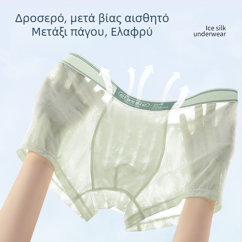 Αντρικά μποξέρ από ice silk, λεπτά και δροσερά, με εκτυπωμένο διάφανο δίχτυ и γρήγορο στέγνωμα