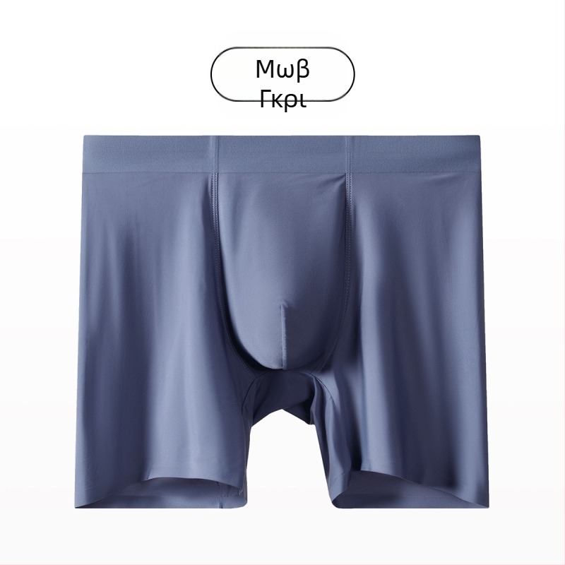 Ανδρικά boxer briefs από Ice Silk, χωρίς ραφές, αντιτριβή, με μακριά πόδια, επιμηκυμένος μήκος