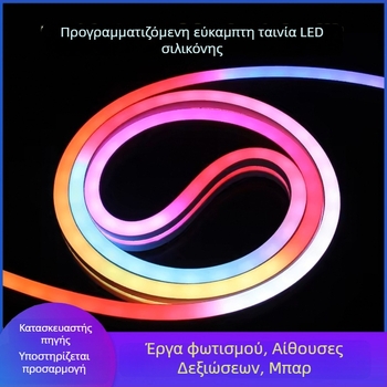 24V DMX512 LED λωρίδα νέον εξωτερικού χώρου, ευέλικτη και αδιάβροχη για φωτισμό εξωτερικού τοίχου και φωτισμό κίνησης