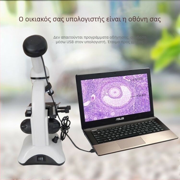 Μικροσκόπιο Βιολογίας 5000X με Υψηλής Ισχύος Φωτισμό, Μικροσκόπιο Παρατήρησης Σπέρματος για Μαθητές Γυμνασίου